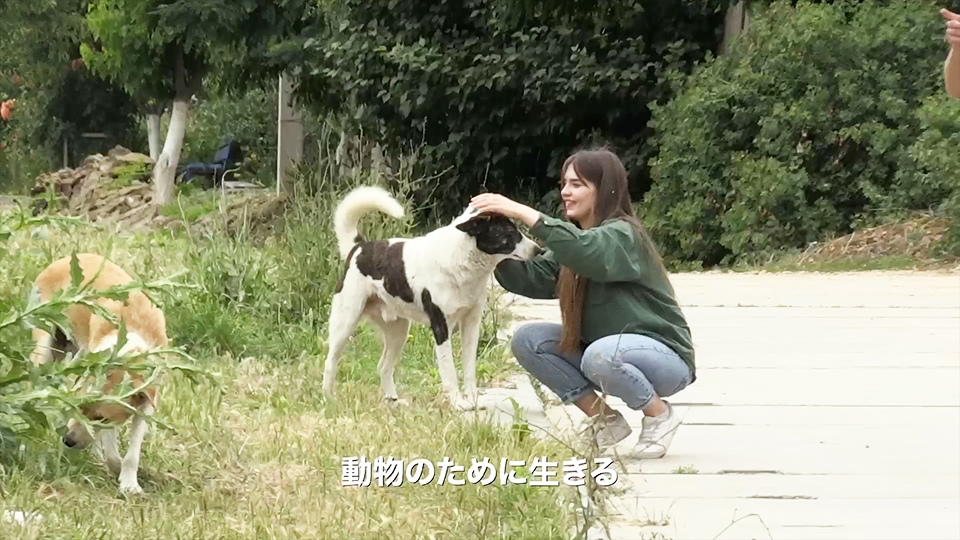 犬と戦争 ウクライナで私が見たこと